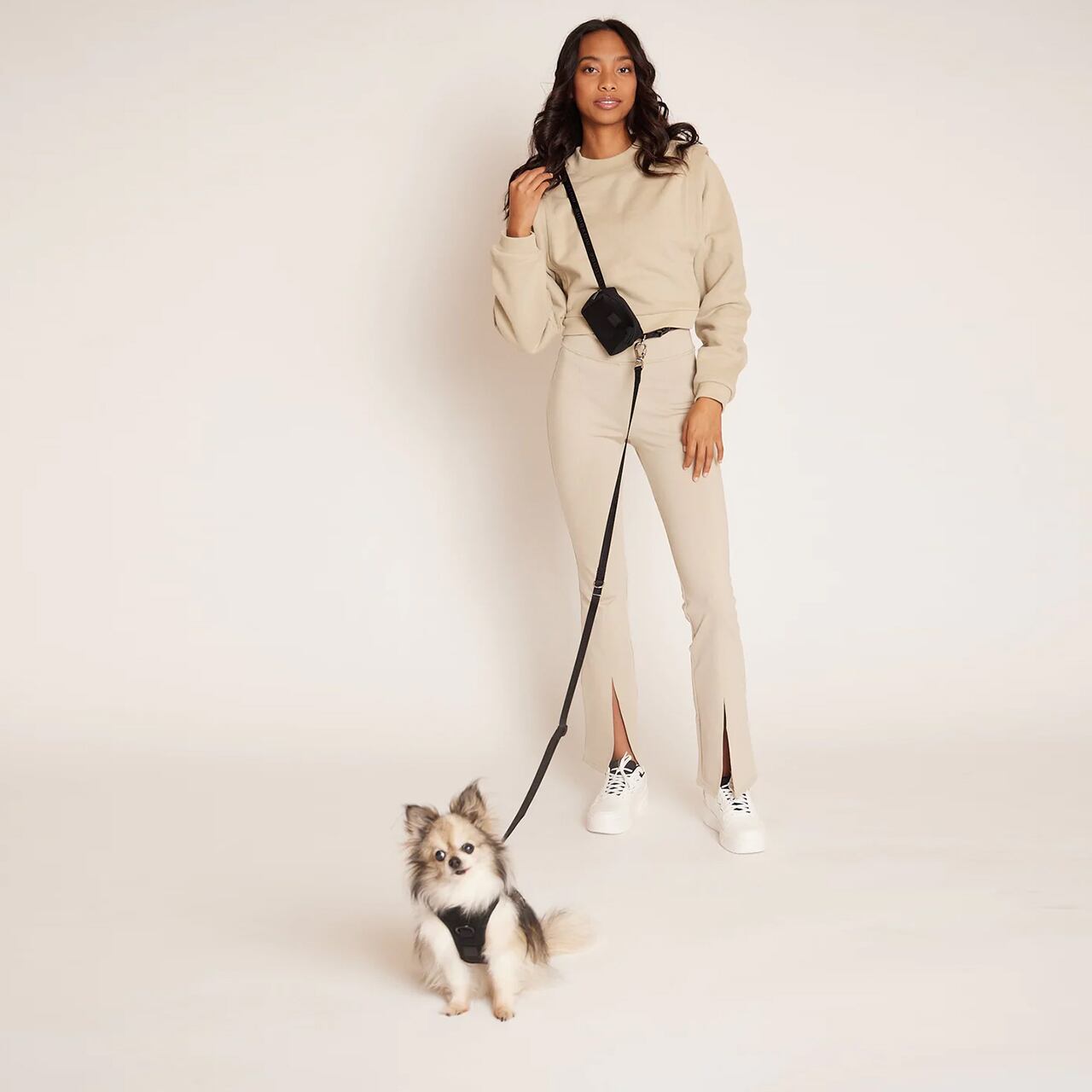 即納 Mini GO! With Ease Hands Free Leash / maxbone PANNA HOUSE