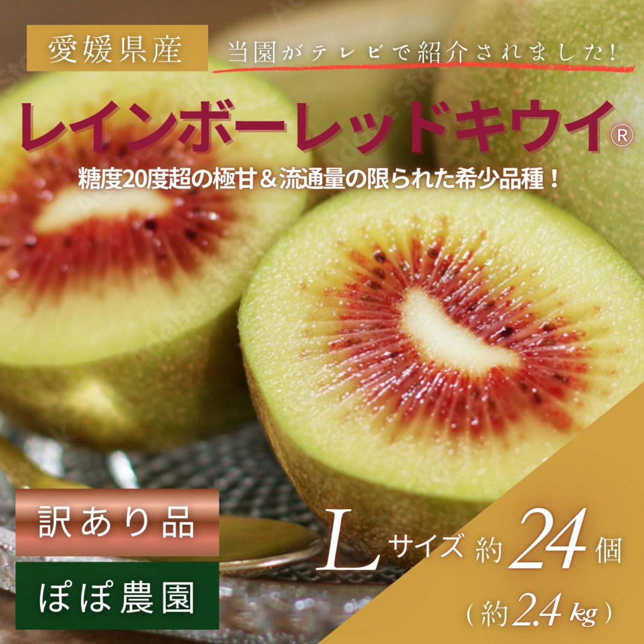 ＜10月下旬より順次発送＞【訳あり】【産地直送】レインボーレッドキウイ　Lサイズ 約24個(約2.4Kg)