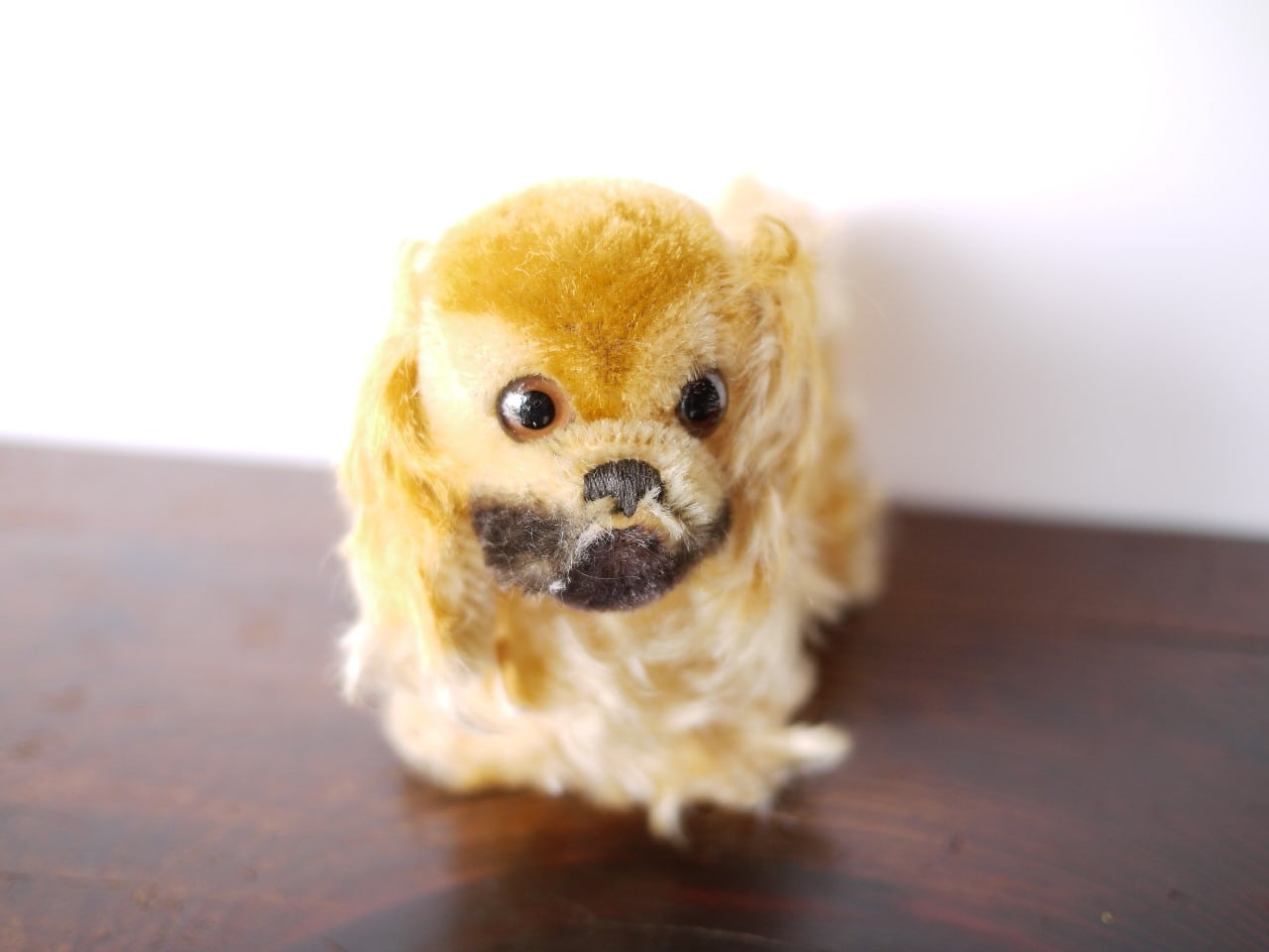 シュタイフ Peky ペキニーズ STEIFF | こりすのパン屋Base店 （世界の