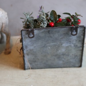 冬から春に楽しむ寄せ植え　チェッカーベリーハングポット　届いてすぐ玄関に飾れる 　プレゼントにもオススメ　