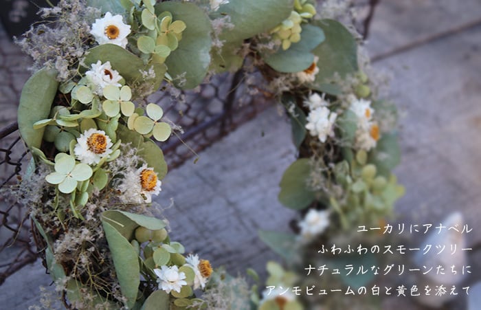 ユーカリとアンモビュームのリース/ドライフラワー | 富良野 花七曜