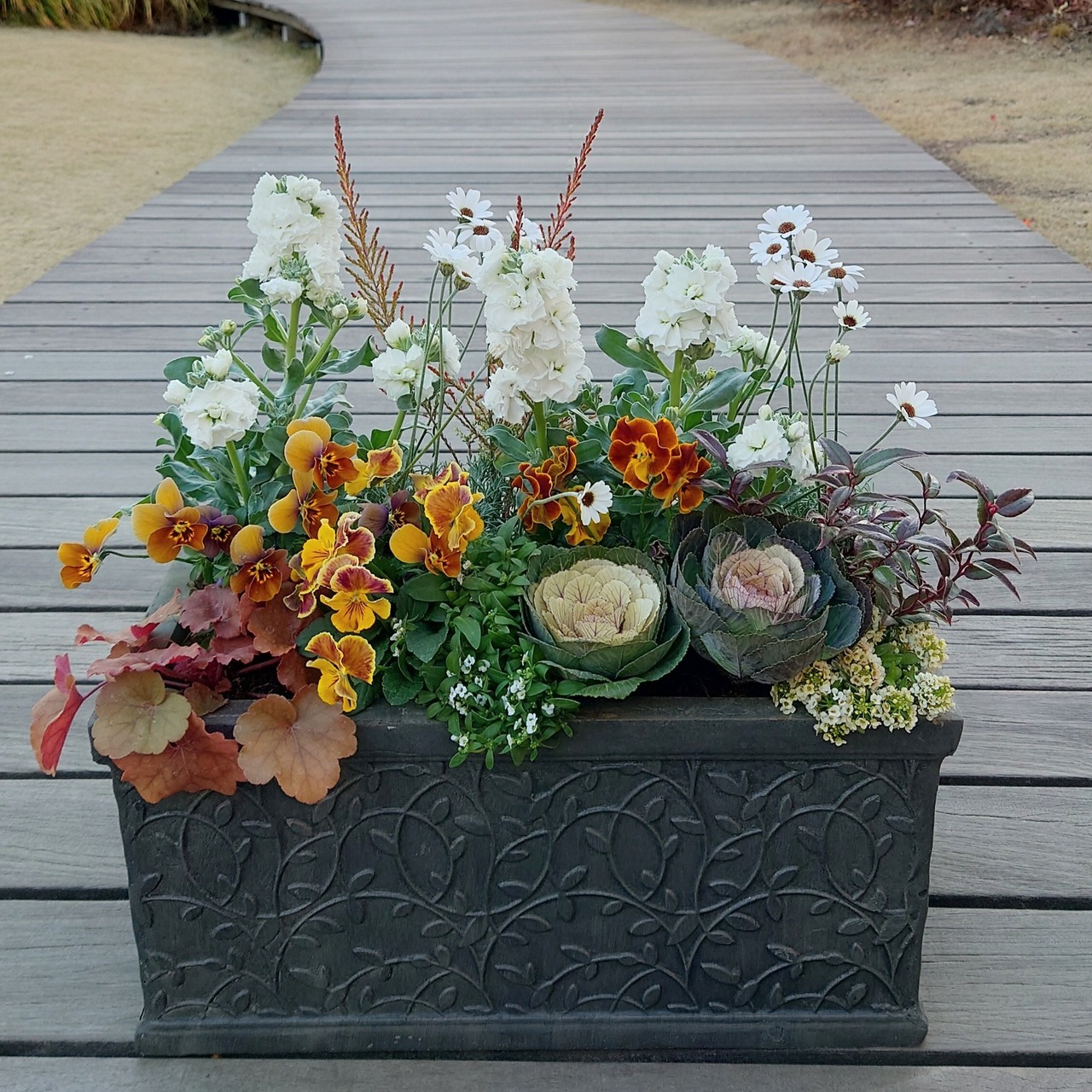 2026年 季節の花苗 寄せ植え福袋 10,000円