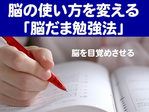 脳の使い方を変える「脳だま勉強法」～脳を目覚めさせる～