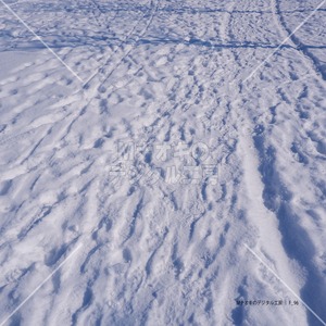 雪道とたくさんの足跡　 Snow road and many footprints