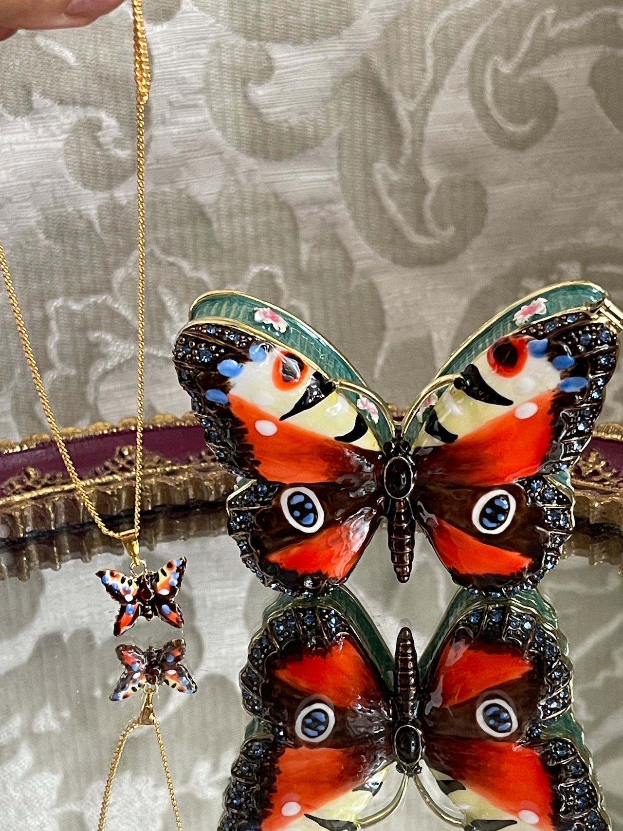 20%OFF！『バタフライ 蝶』 シークレットBOX 『隠された財宝の秘密 ARORA』イギリス製の画像12