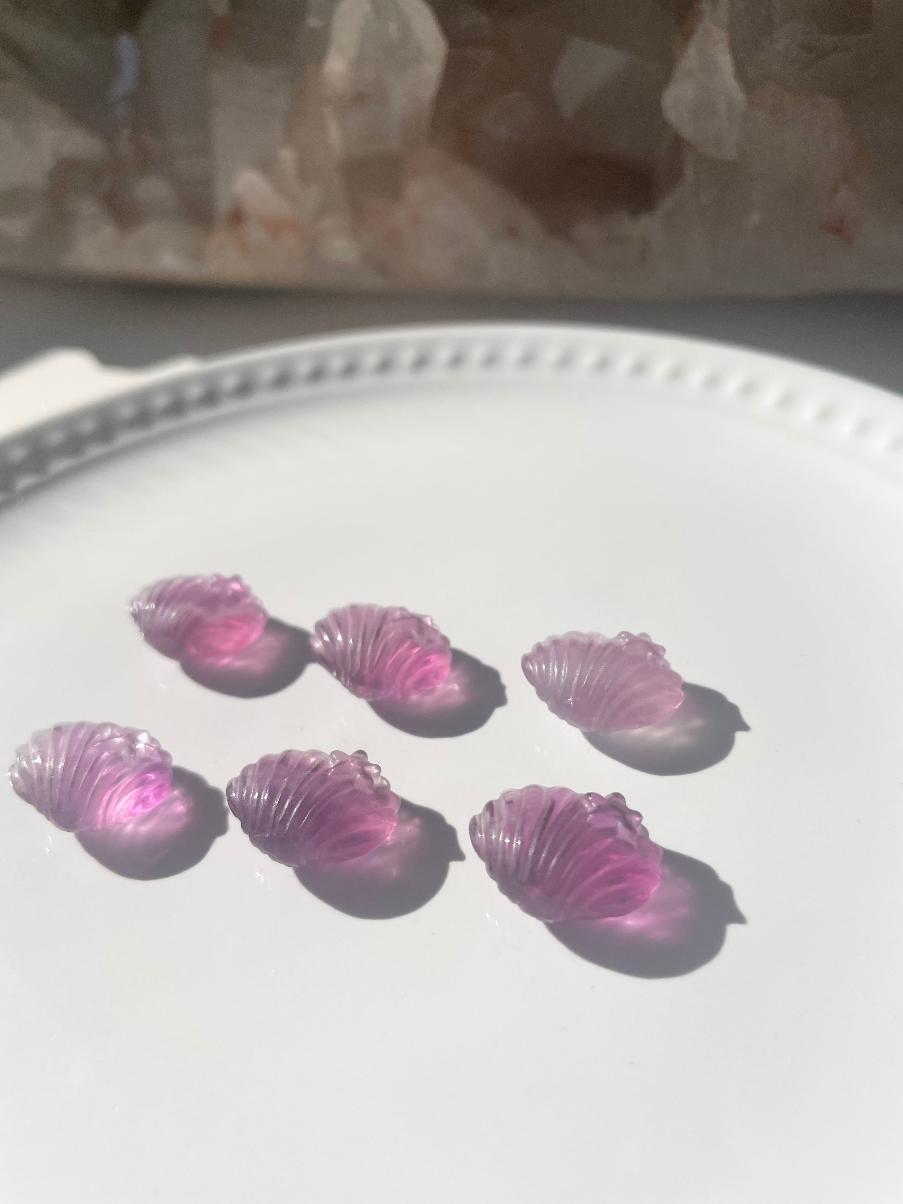 Fluorite Shell / フローライト　貝