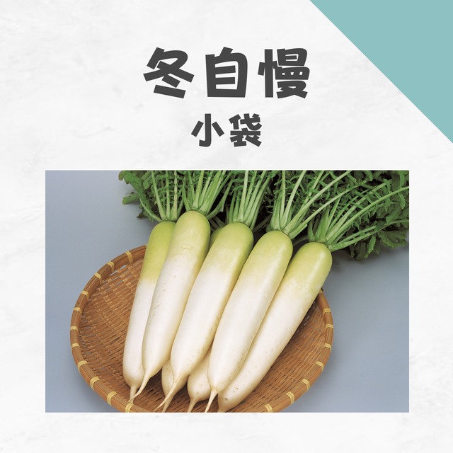 冬自慢　ダイコン種子・小袋