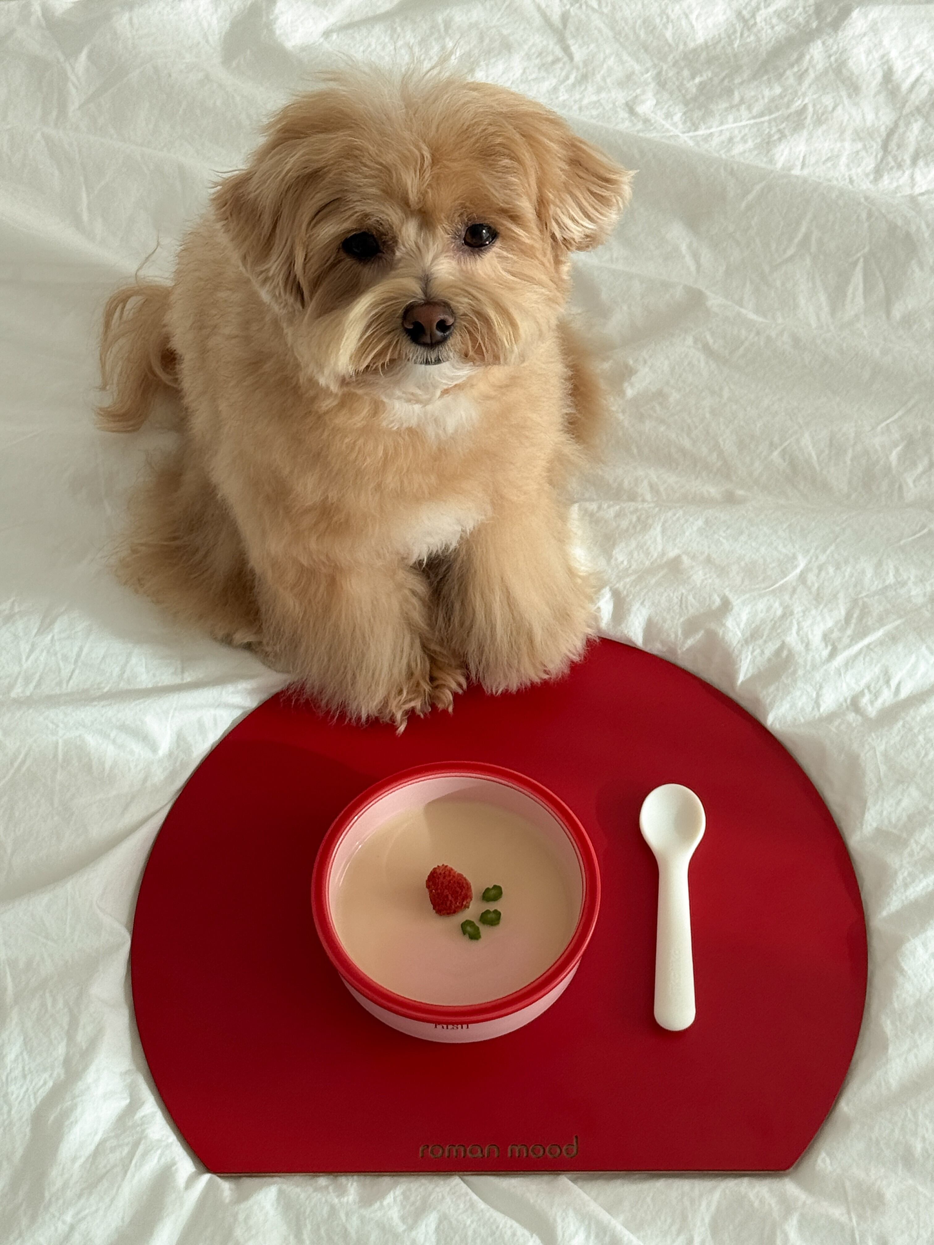 roman mood | Chay Gohan