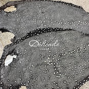 スタースティングレイ × クロコダイル マネークリップ ネイビー