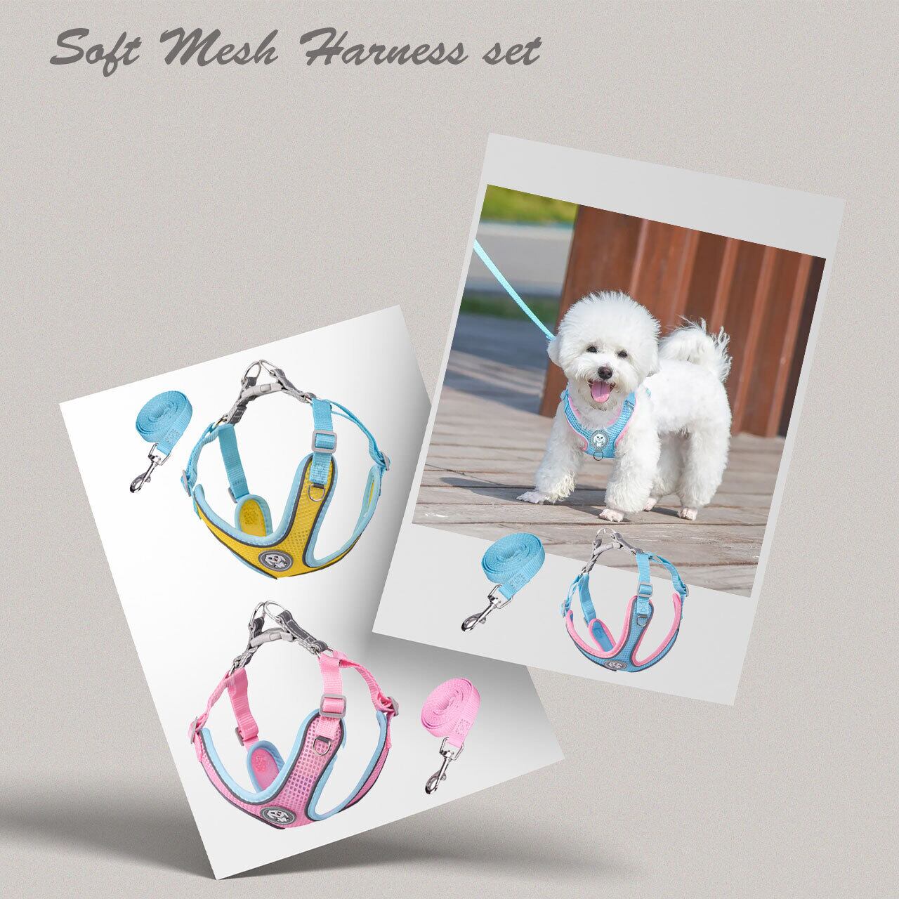 2つセットで☆アズノゥアズデワン☆古音リード＆ハーネス ペア 2つ