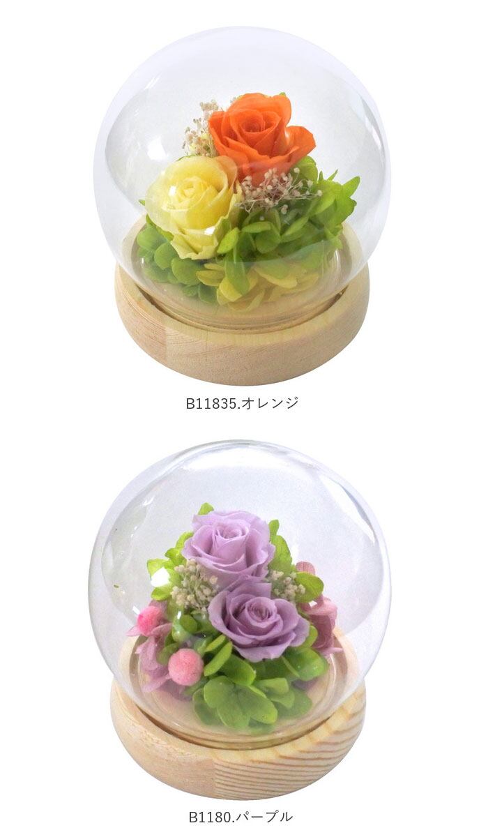 プリザーブドフラワー ガラスドーム 通販 フラワーアレンジメント