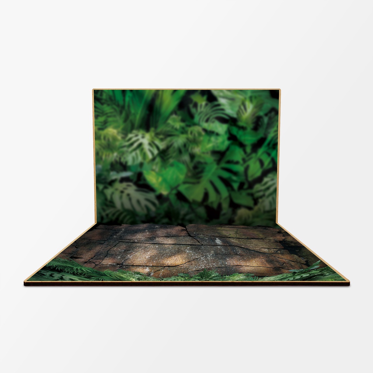 トロピカルジャングル