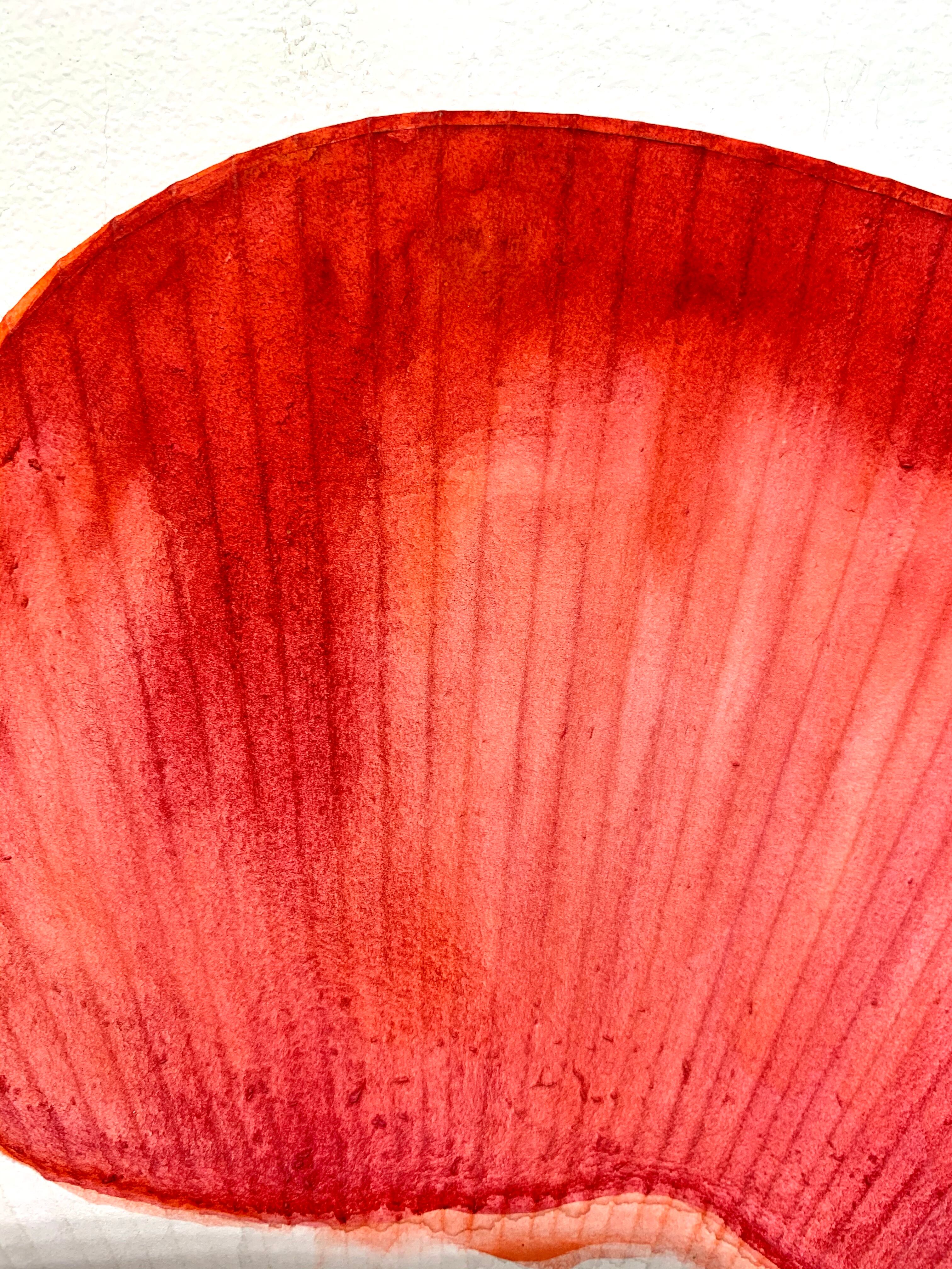 ケイト・バン・ホウテン　うちわ作品１ *20th