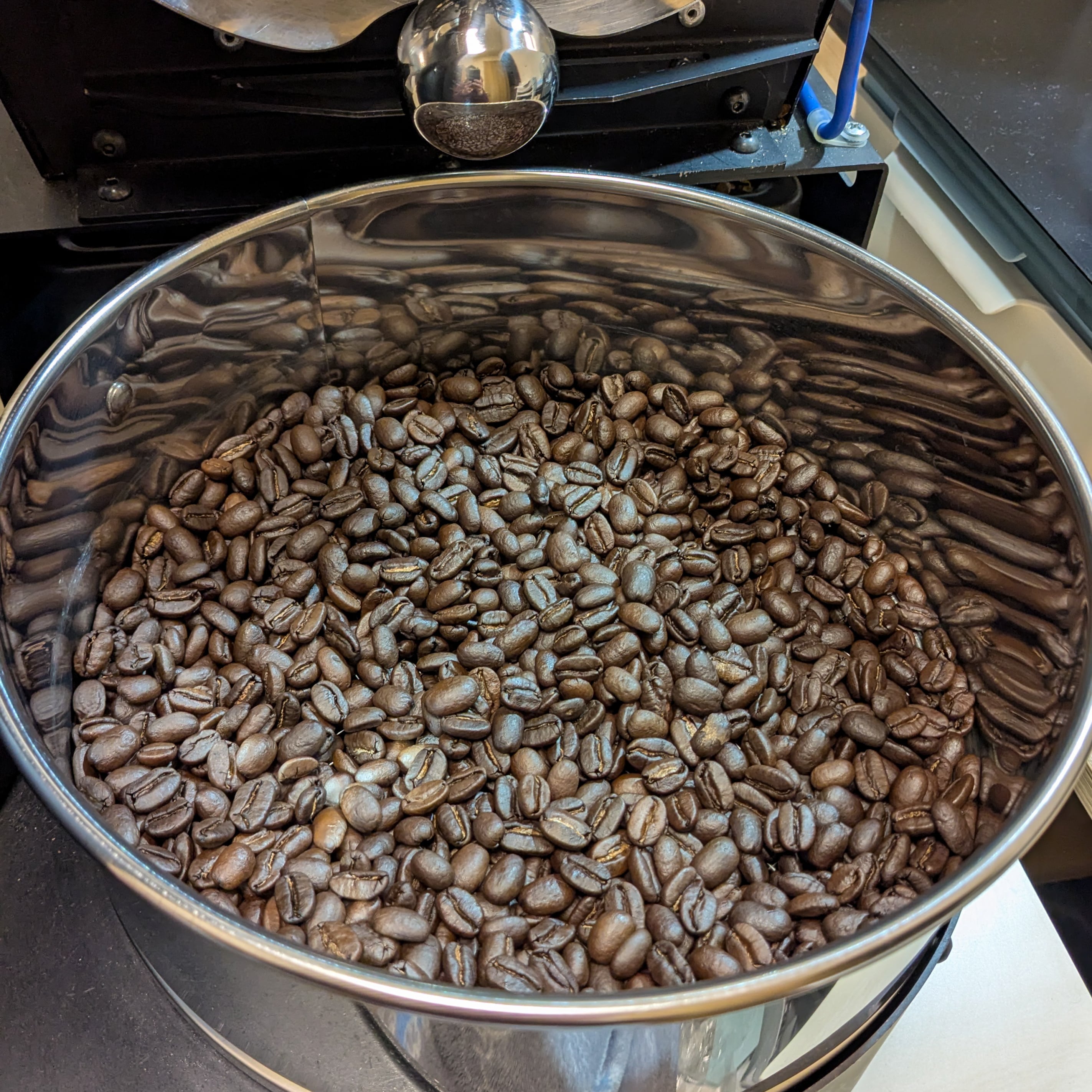 【試験焙煎】ブラジル キャラメラード（中深煎り）　豆のみ200ｇ、送料込み