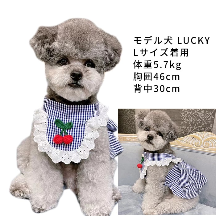 KM955SK新作 ワンピース 犬服 春 夏 フレンチブルドッグ トイプードル 服 中型犬 小型犬 フレブル ピンク ブルー チェック柄 花 女の子  スカート フリル 犬 服 ドッグウェア ペット服 | DearKM ❤︎フレンチブルドック孔明 powered by BASE