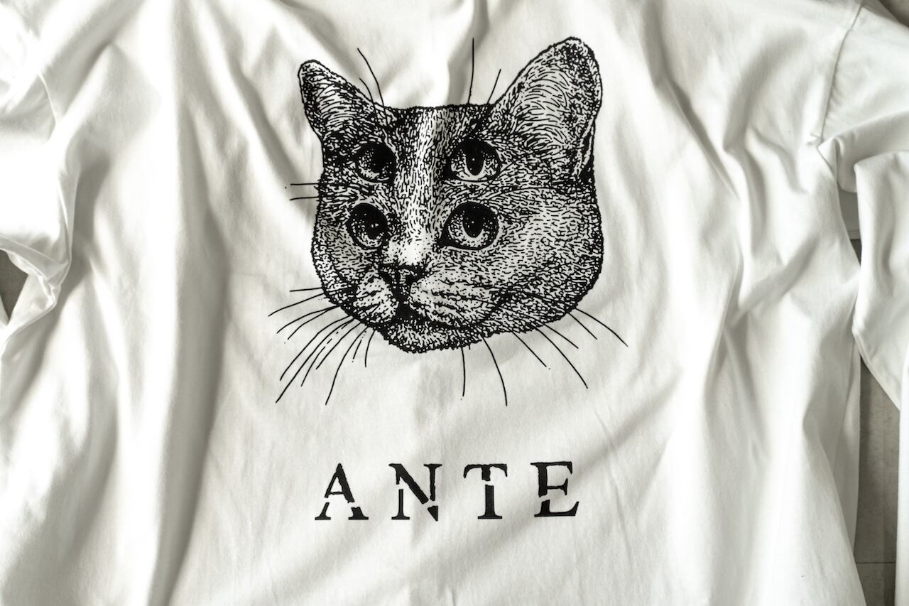 cat graphic tee