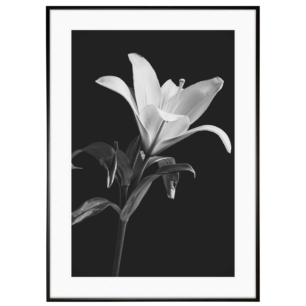 絵画 インテリア　絵　額付 (黒) 油絵　F4-090416　花 (ゆり) Ab 額付き ( 黒) 油絵 F6-20 私の愛しい女たち