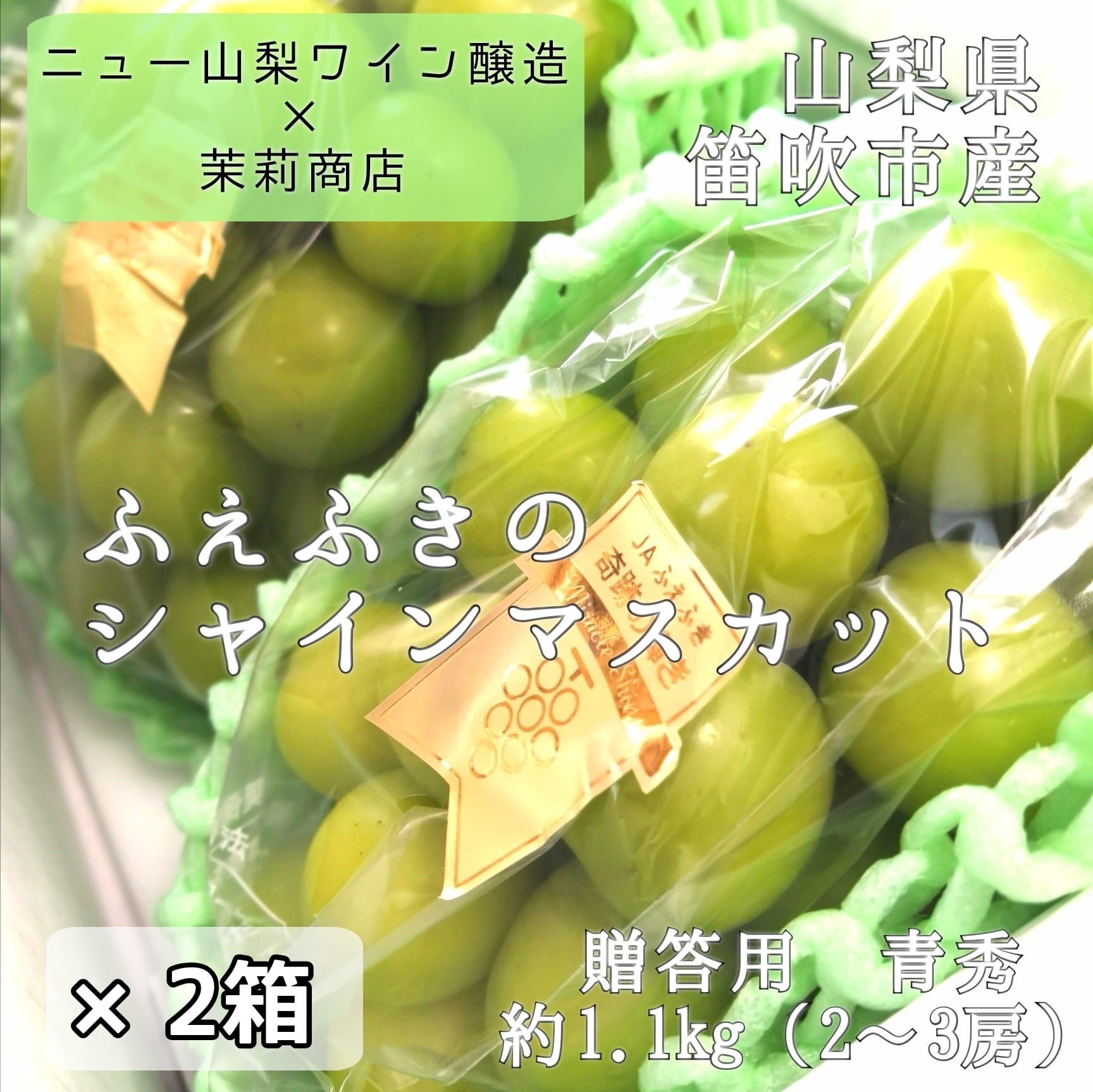 シャインマスカット/贈答用/青秀品/山梨県笛吹市産/約1.1kg2～3房入　野菜