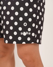 【SUNS】DOT PATTERN BOARD SHORTS［RSW103］