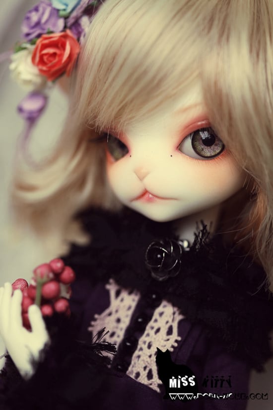 限定再販】（フルセット）DOLLZONE◇Miss Kitty※受注制作 | ドール