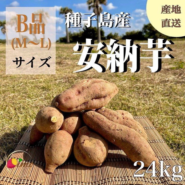 安納芋 B品（M〜L）24kg｜箱別 画像