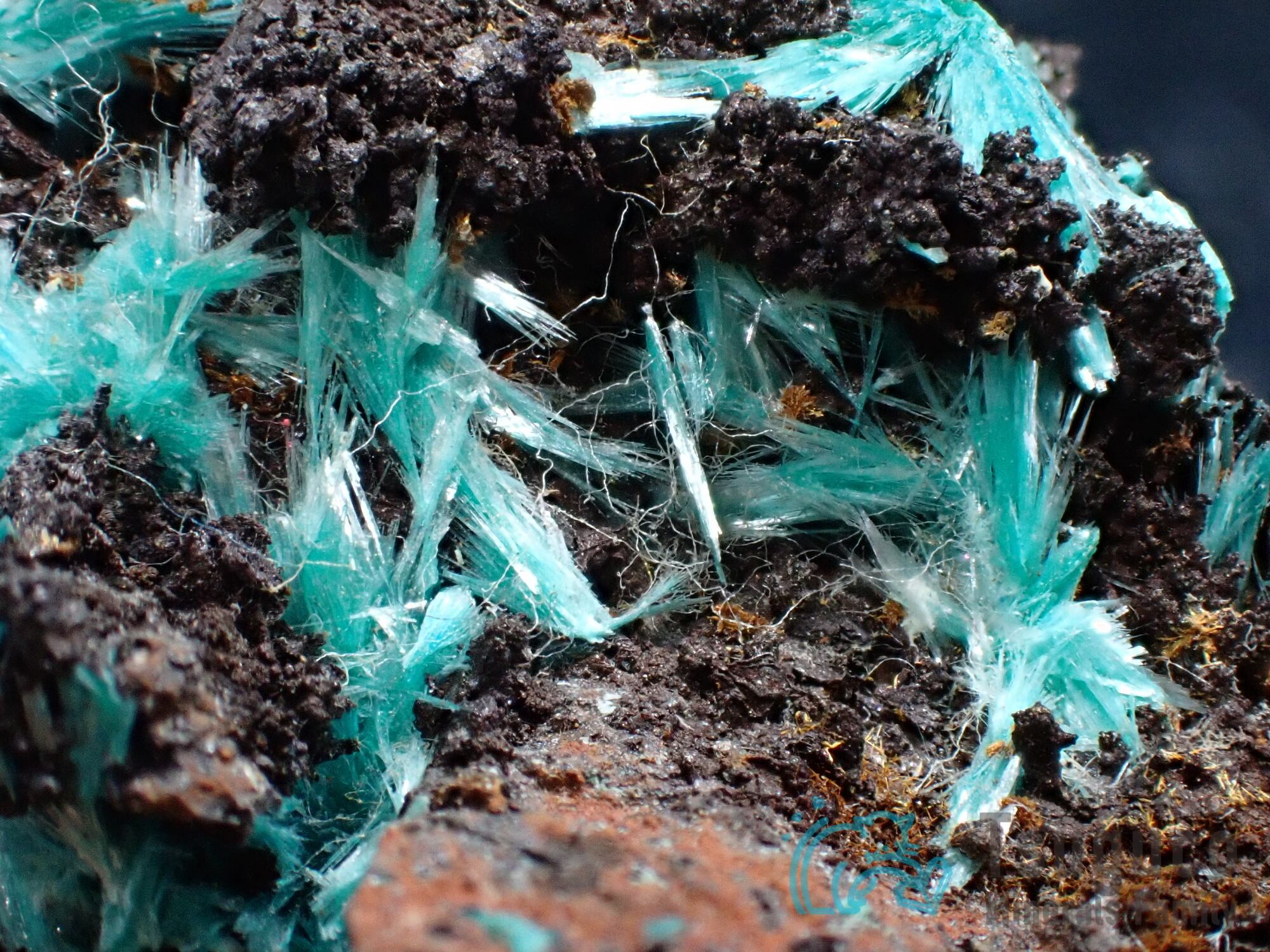 オーリチャルサイト 水亜鉛銅鉱 メキシコTM-565 | つぐこみねらるず