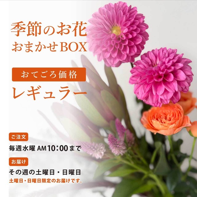 【定期便】季節のお花 おまかせBOX《レギュラー》｜毎月☆変更｜旬の切り花・生花〈フラワーロス削減〉
