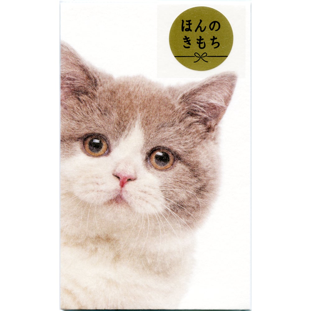 猫ぽち袋(ひょっこりニャンコ)ハチワレネコ | マスノヤ衣料品店