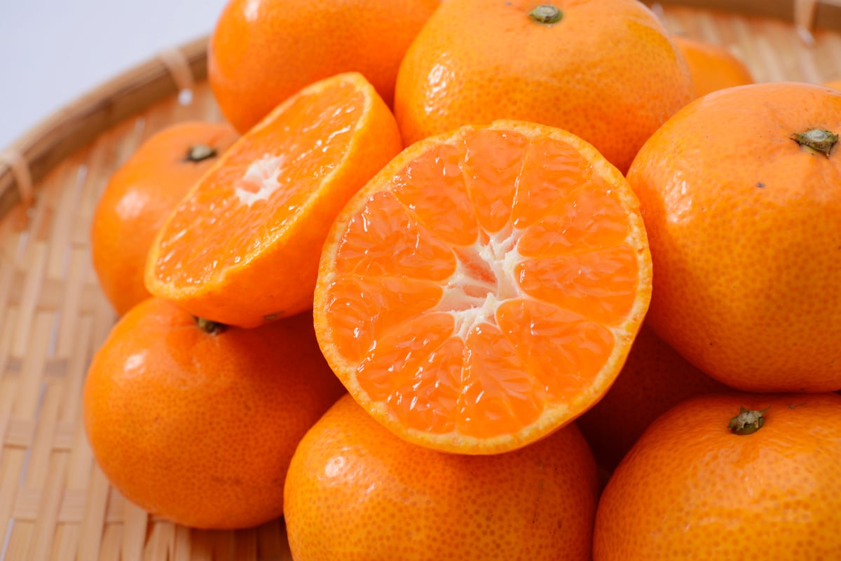 【静岡県三ヶ日町】2025年三ヶ日完熟みかん(青島温州2Lサイズ/9kg)