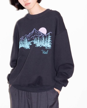 1980s landscape graphic sweatshirt
