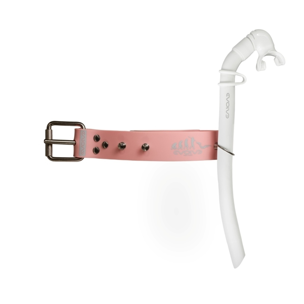 ベルトOリング Belt O-Ring - Evolve