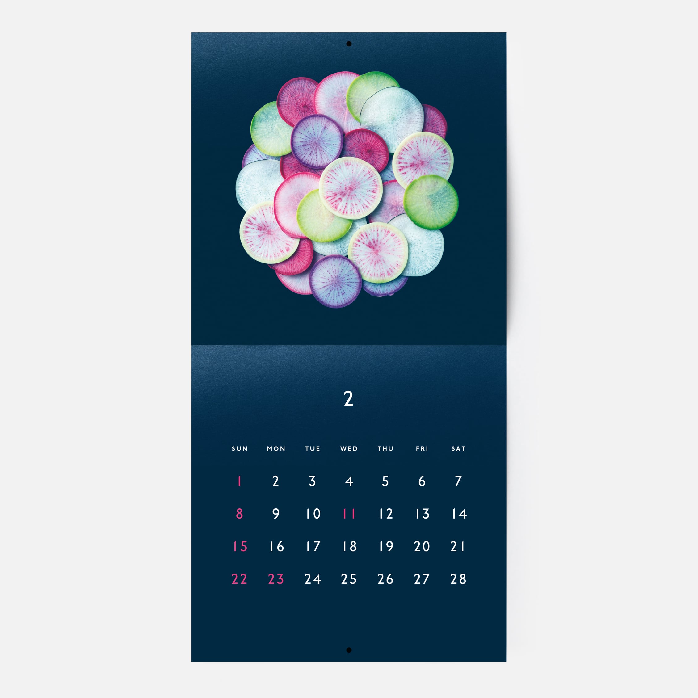 3ac5aef31169b7d1bed6feab3e9503