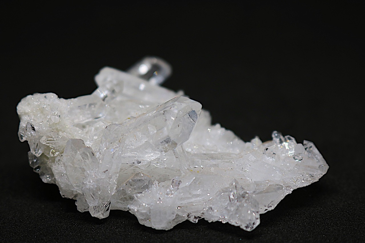 伸ばせ自分力！