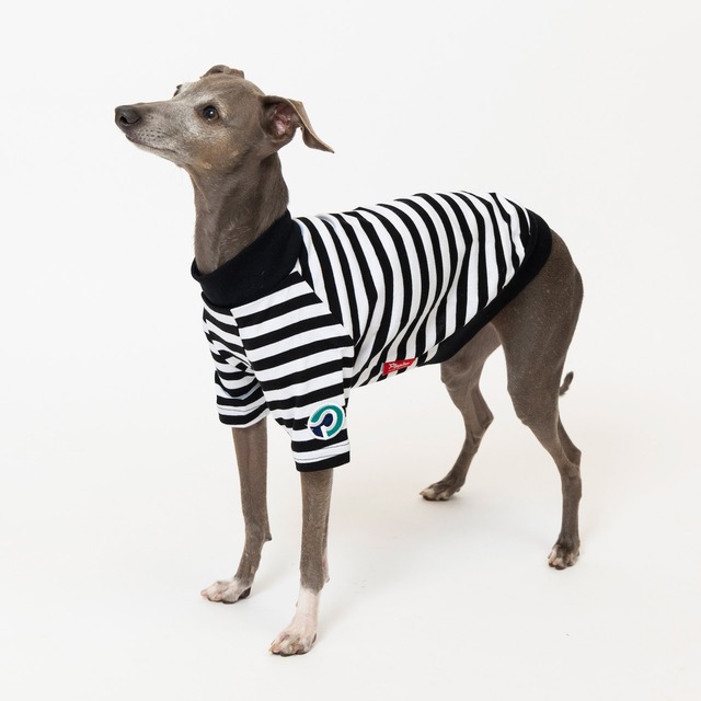 ボーダーTシャツ　black / イタグレ服