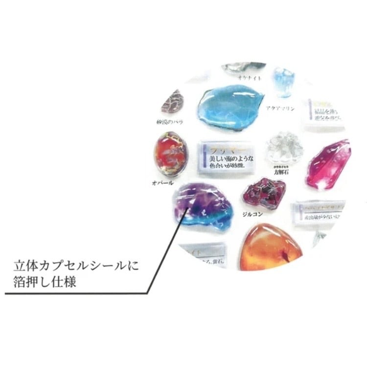 3D大人の図鑑シール ウミウシ編 | rocca rocco