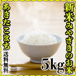 お米 米 5kg 白米 送料無料 宮崎県産 あきたこまち 新米 令和5年産 5kg1個 みやざきのお米