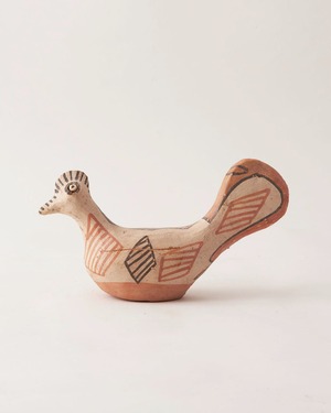 鳥  / Morocco