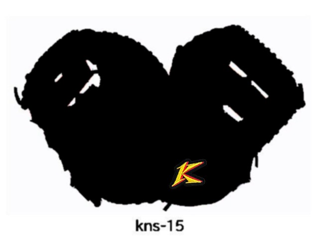 【硬式：一塁手用オーダー】KNS-15モデル