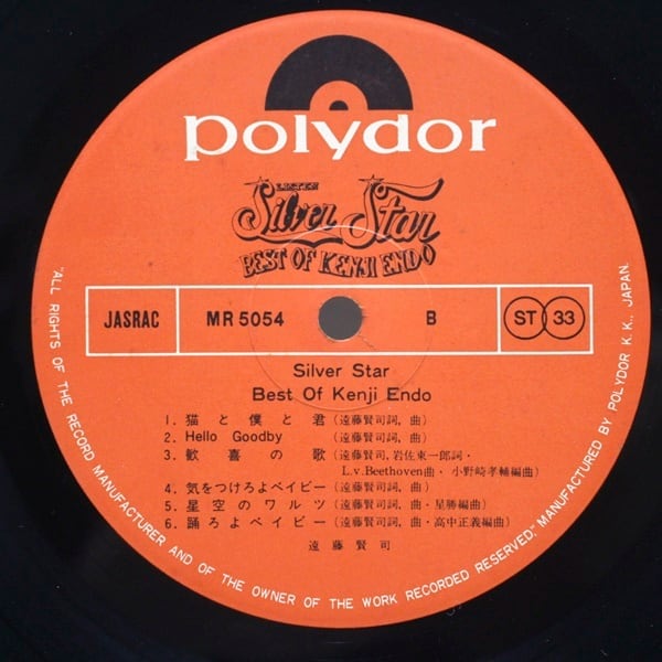 遠藤賢司 / シルヴァー・スター [MR 5054] - 画像4