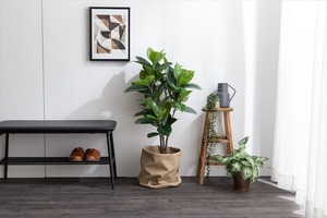 Nature 光触媒人工観葉植物