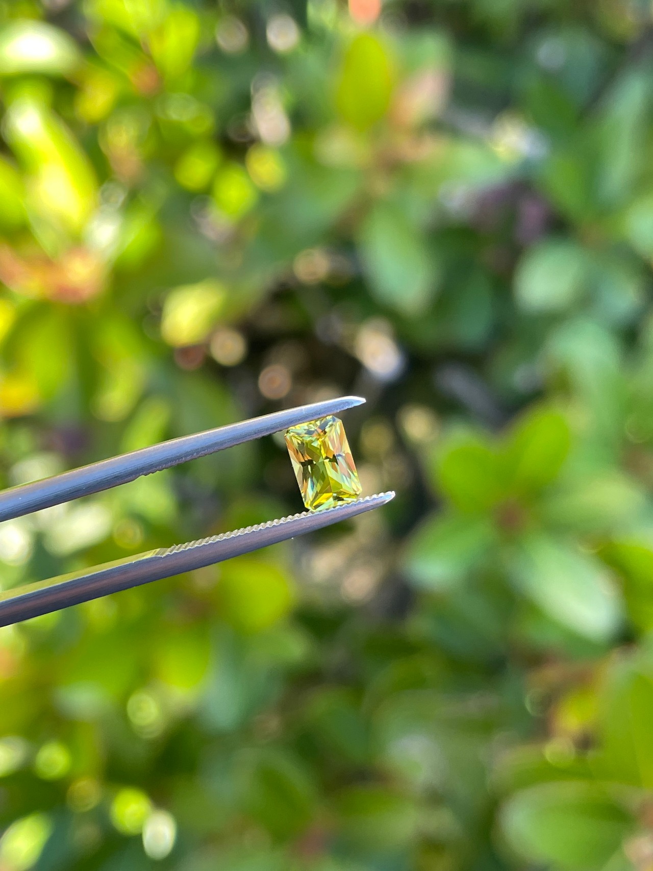 カナリートルマリン 6x4x2.5mm, 0.50ct ザンビア産