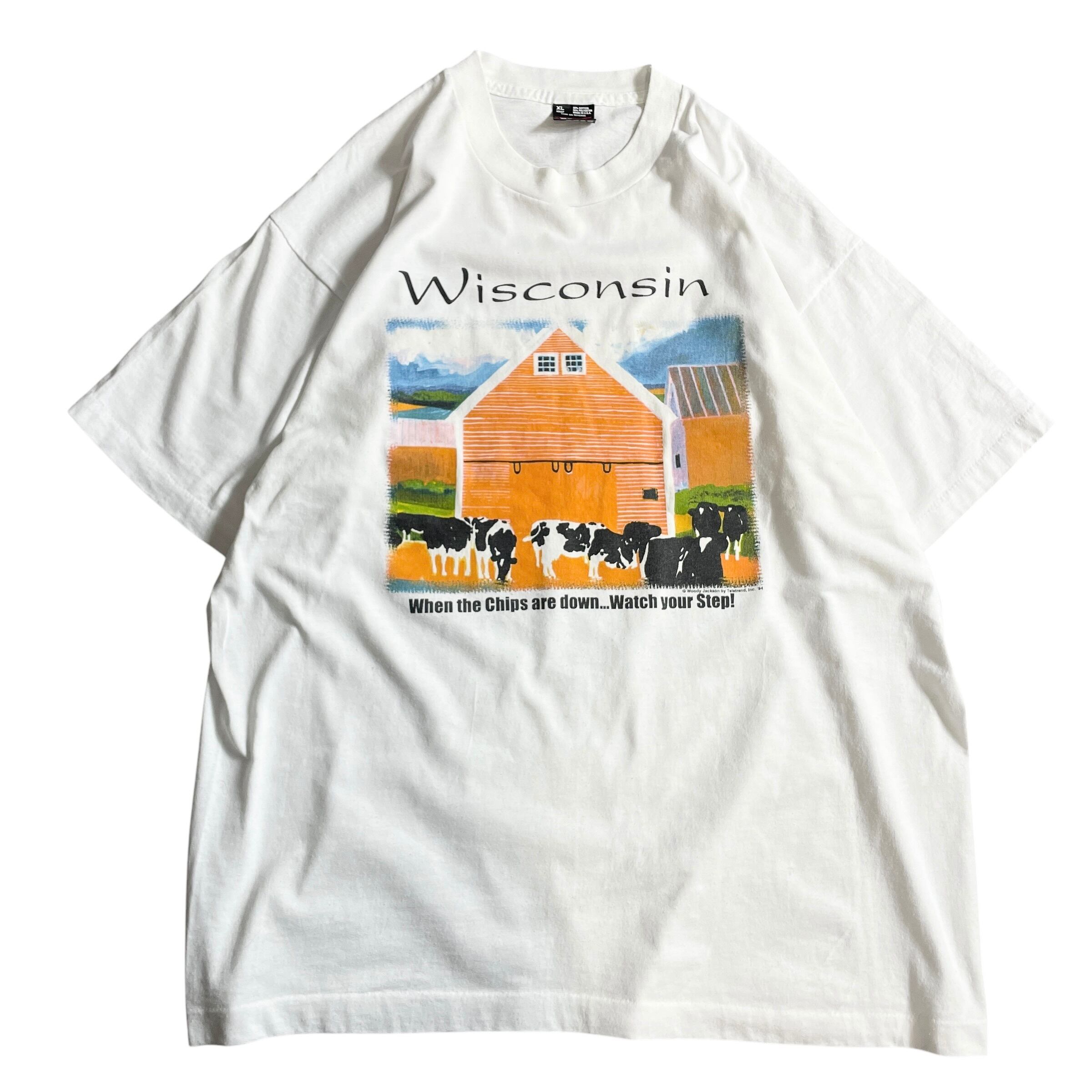 90s USA製 Wisconsin 牛 アート vintage T-shirt
