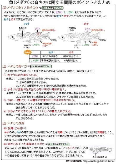 奈良県立青翔中学校版「塾に通わなくても効率よく最短で合格 志望校別