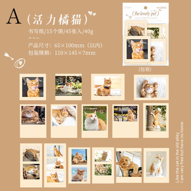 猫と犬のポラロイド写真風シールセット　15種45枚入り　心动爱宠（The lovely pet）シリーズ【美好的一天(have a good day)】[HG-19s]