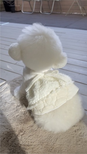 即納【SICGGU】スノードレス