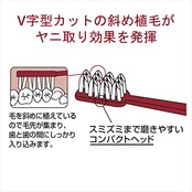 ラーク サンスター LARK ラーク 歯ブラシ [3列コンパクトヘッド 小さめヘッド かため] (歯と歯の間のヤニ取り 歯の黄ばみ 着色汚れ ラバーハンドル V字カット) 単品