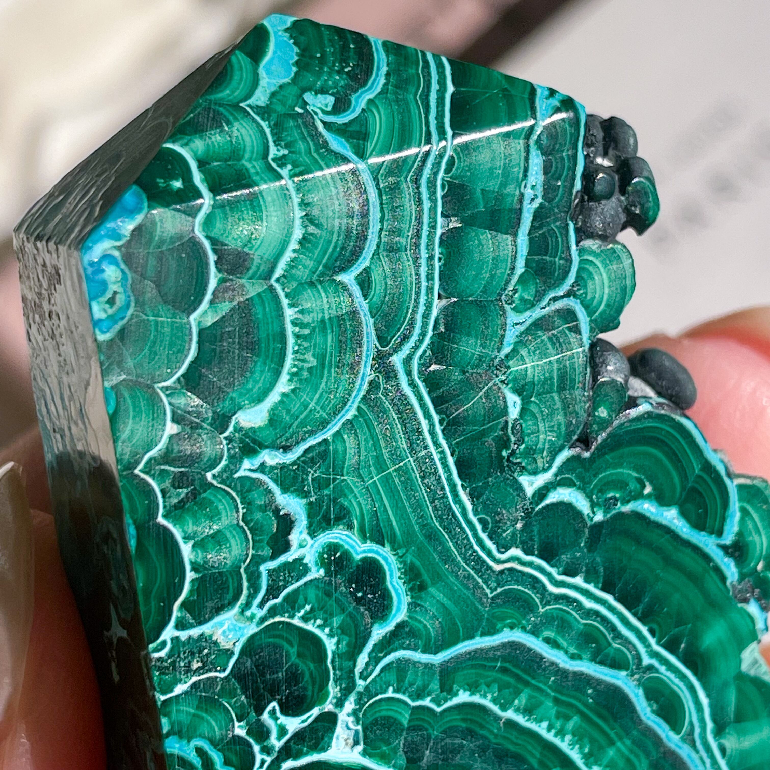 Chrysocolla & Malachite 9 ✧ クリソコラ & マラカイト (共生原石