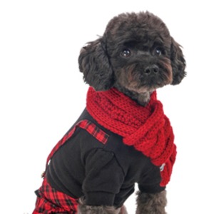 犬マフラー　ざっくり編みふっくらマフラー