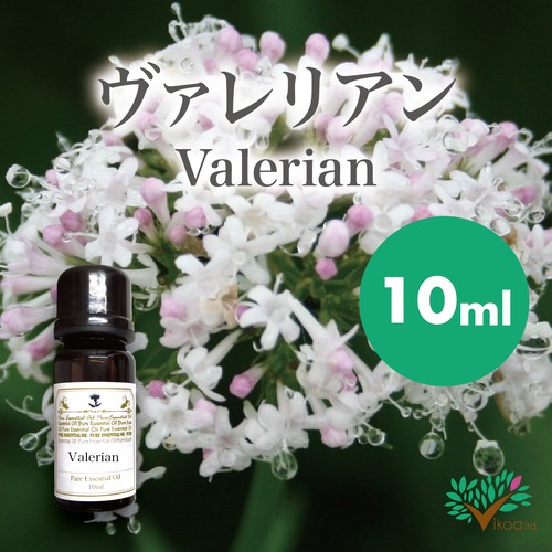 精油　ヴァレリアン10ml【英国直輸入】