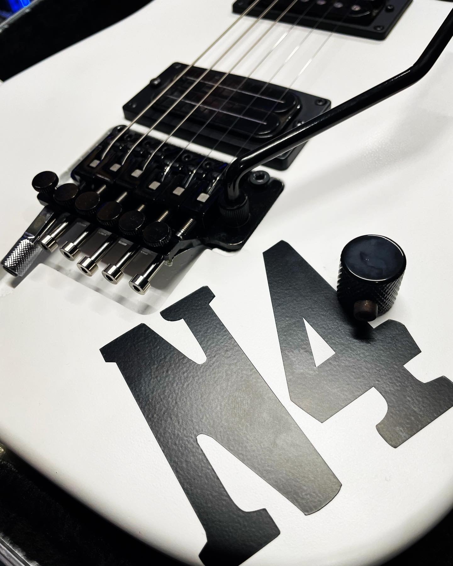 EVH d-tuna.〔for floydrose〕 | LEG MUSIC PRO.